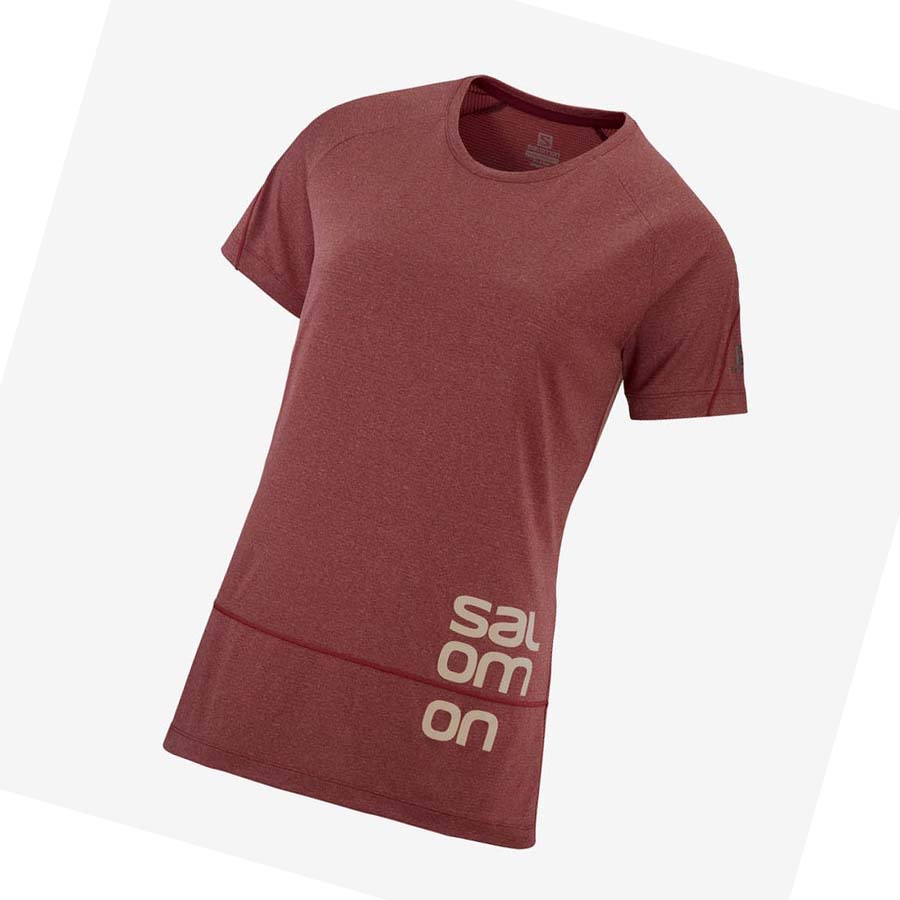 Camiseta Salomon CROSS RUN GRAPHIC Mujer Rojos | MX 2547BEX